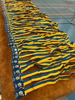 Kidsvolley i Västervånghallen, 2024. Foto: Ystads VK