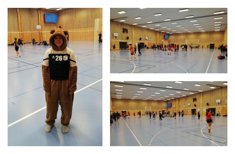Level-5 Svart i Tingdalshallen med en egen maskot, januari 2024. Foto Åstorps VBK